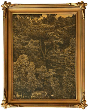 Il Giardino Serale (The Evening Garden), Giardino del Bobolino, Florence, 2023