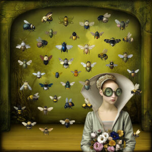 The Beekeeper